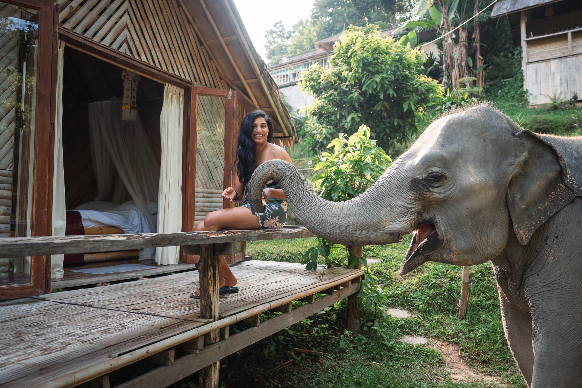The Sanctuary — Elephant Sanctuary, Thailand