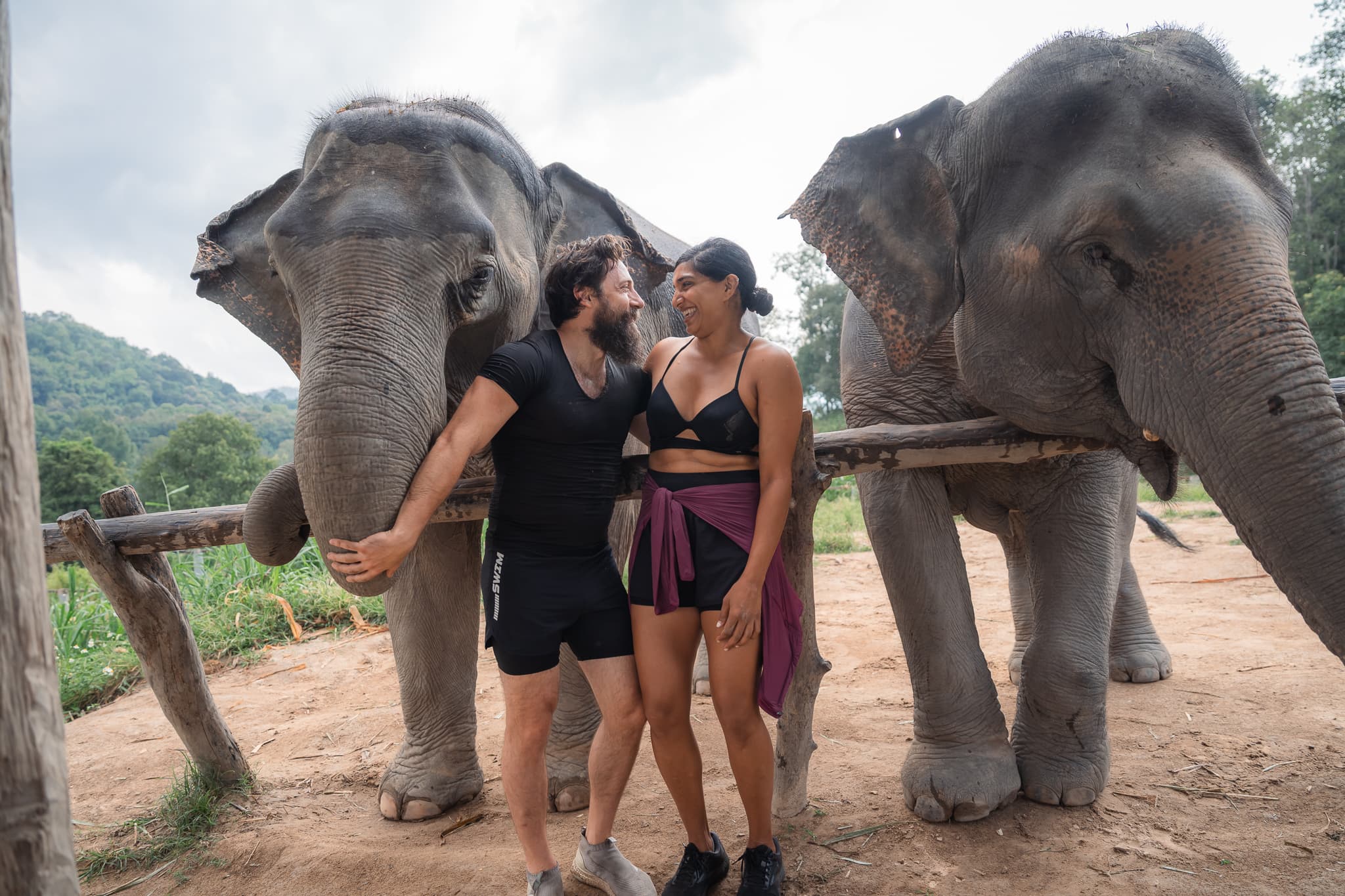 Elephant sanctuary, Thailand