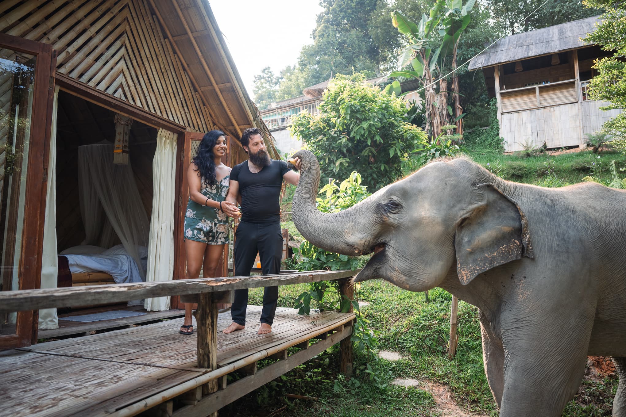 The Sanctuary — Elephant Sanctuary, Thailand